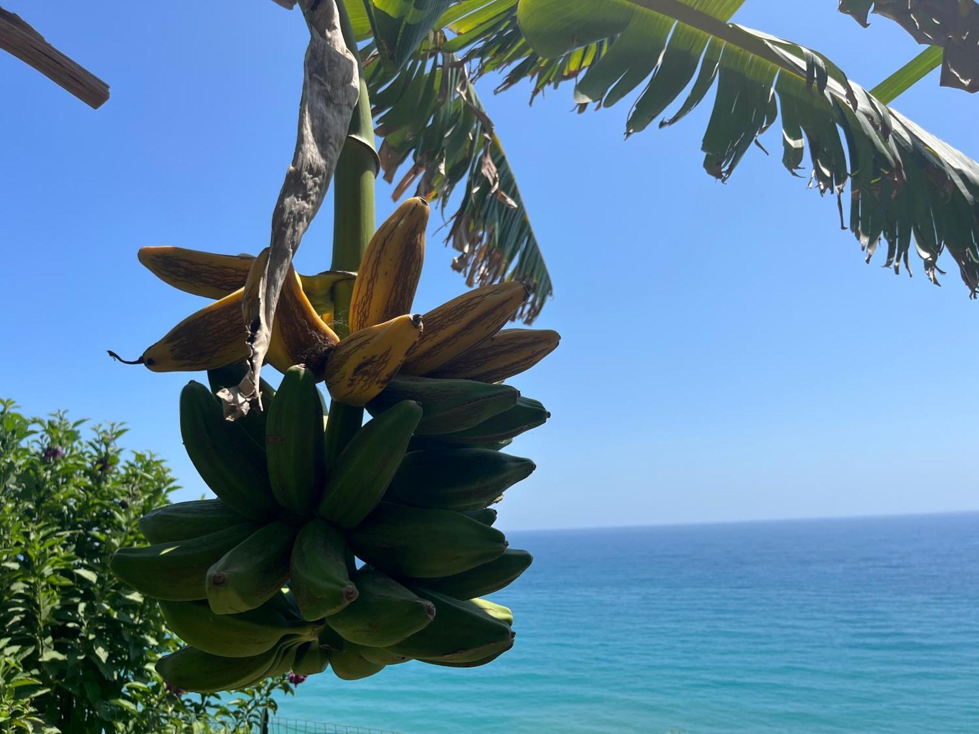 Casa Monnalisa - Calandre Sabbie Oro Villa Ventimiglia Exteriör bild